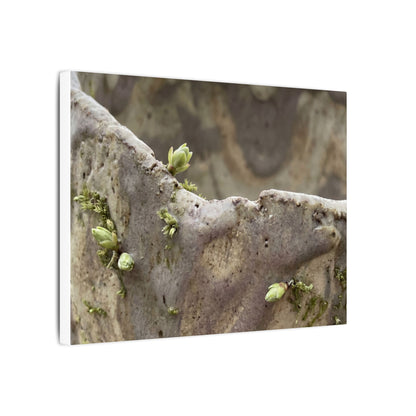 Overcast Ceramic Bowl Canvas Art - Japandi Fukinsei