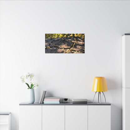 Shibui Cracked Earth Canvas Art - Kintsugi Gold Repair
