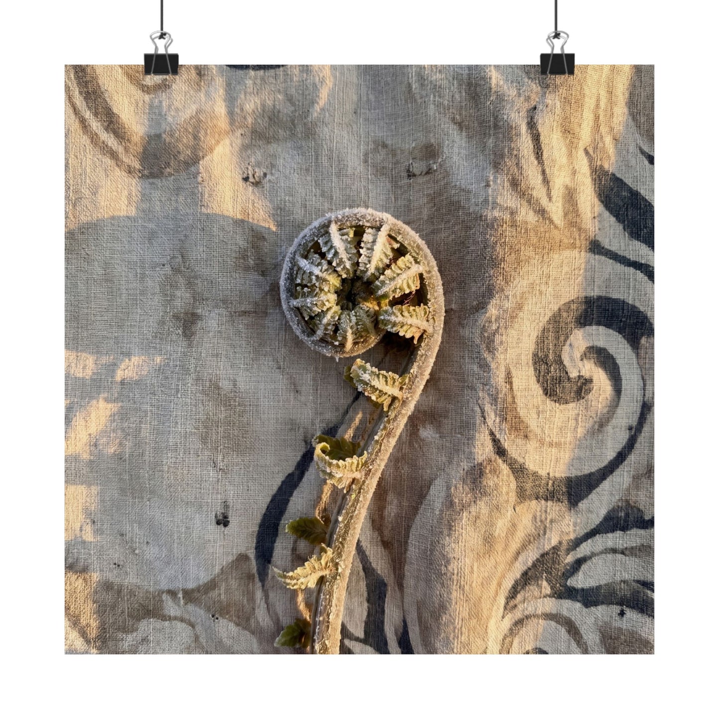 Fern Unfurling Winter Wall Art Print | Japandi Warm Design