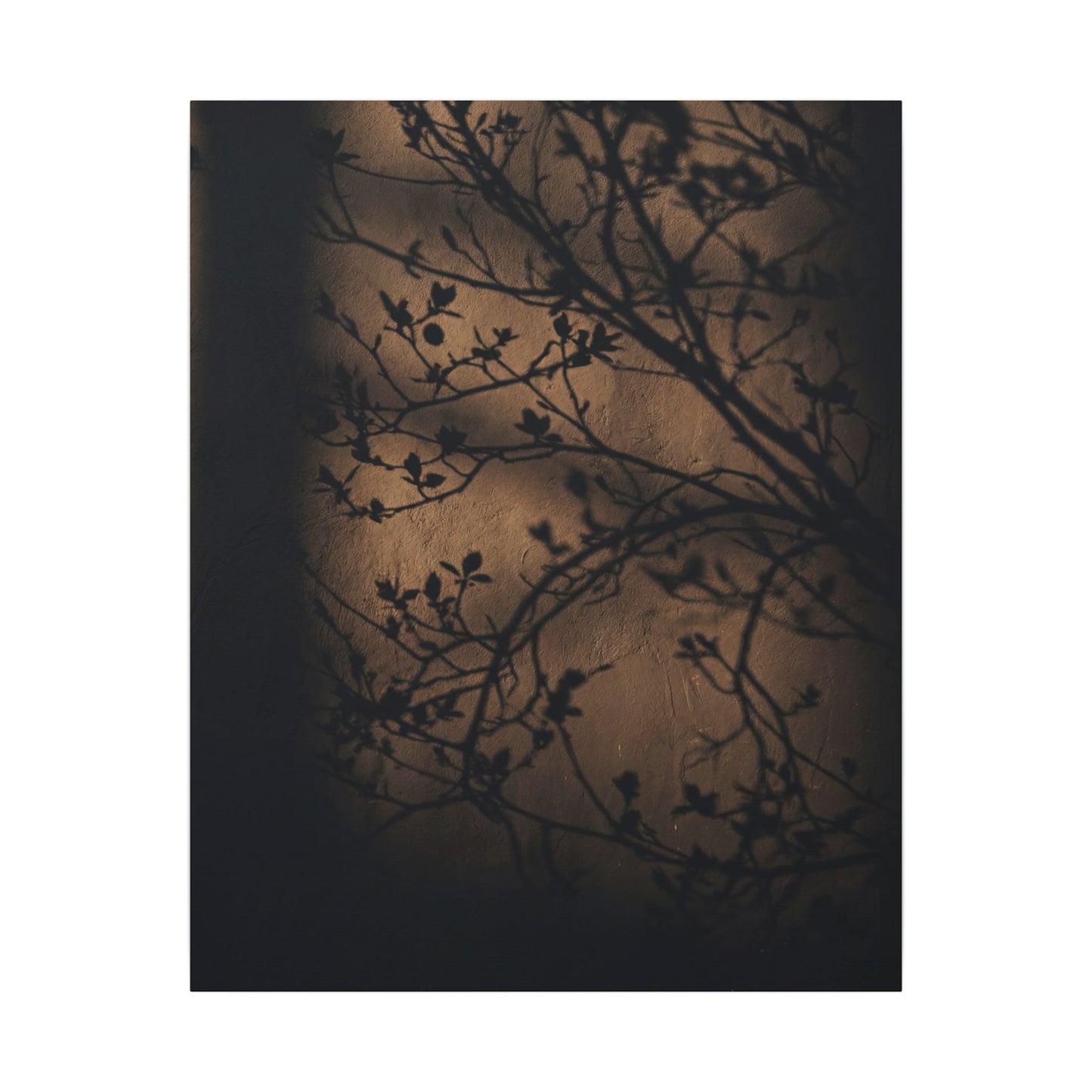 Dark Japandi Shadow Play in Golden Hour | Shadow Zen Canvas Art