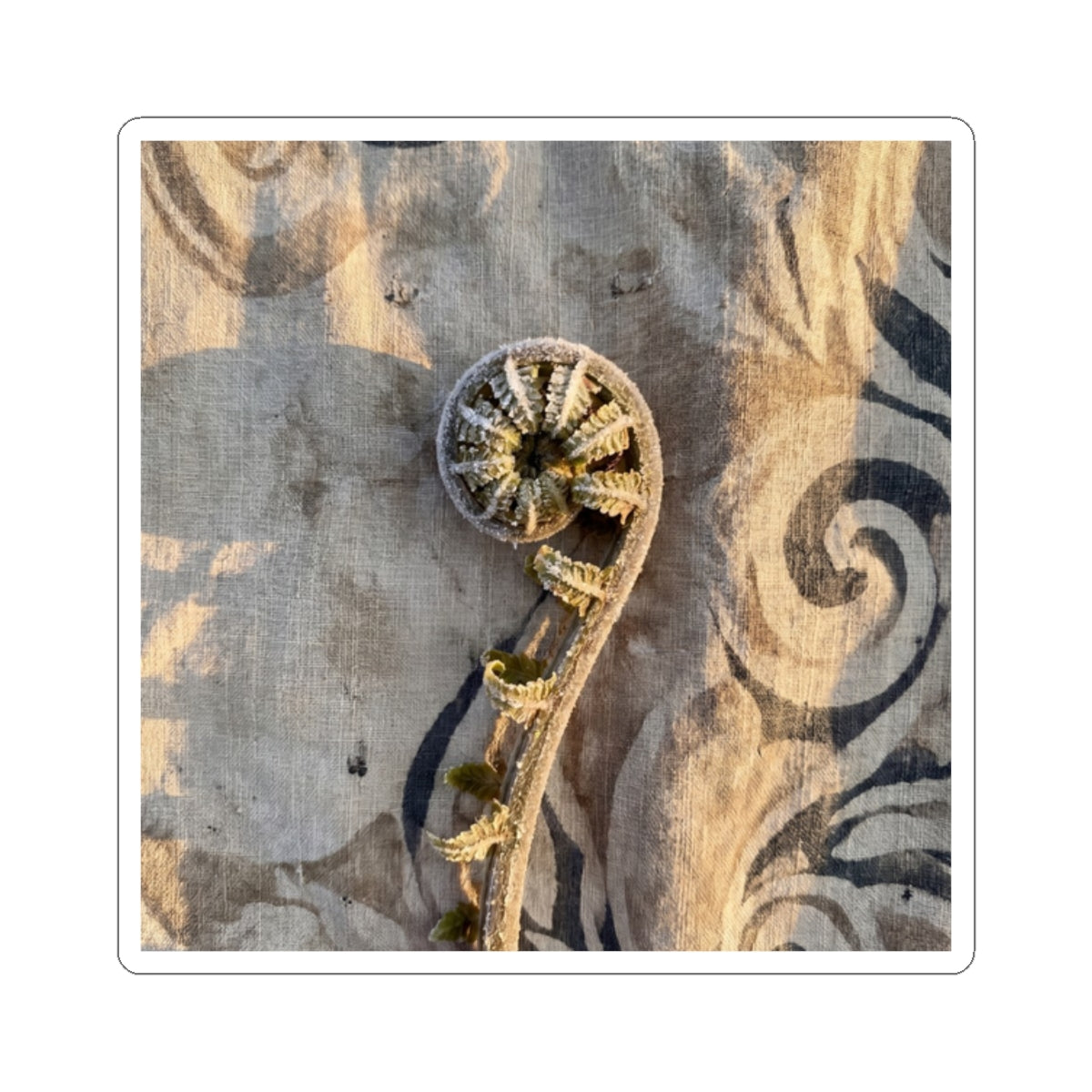 Fern Unfurling Japanese Pattern Sticker | Neutral Japandi Art