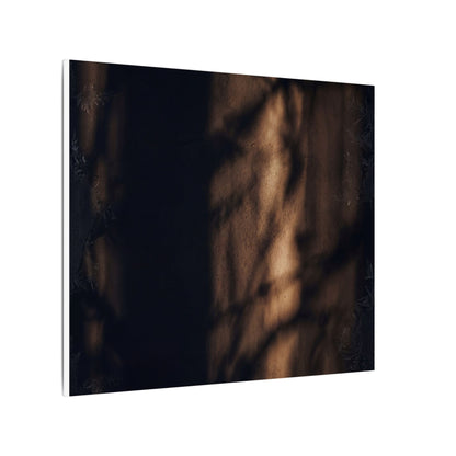 Winter Shadow Play Moody Minimal Canvas Art | Luxurious Decor