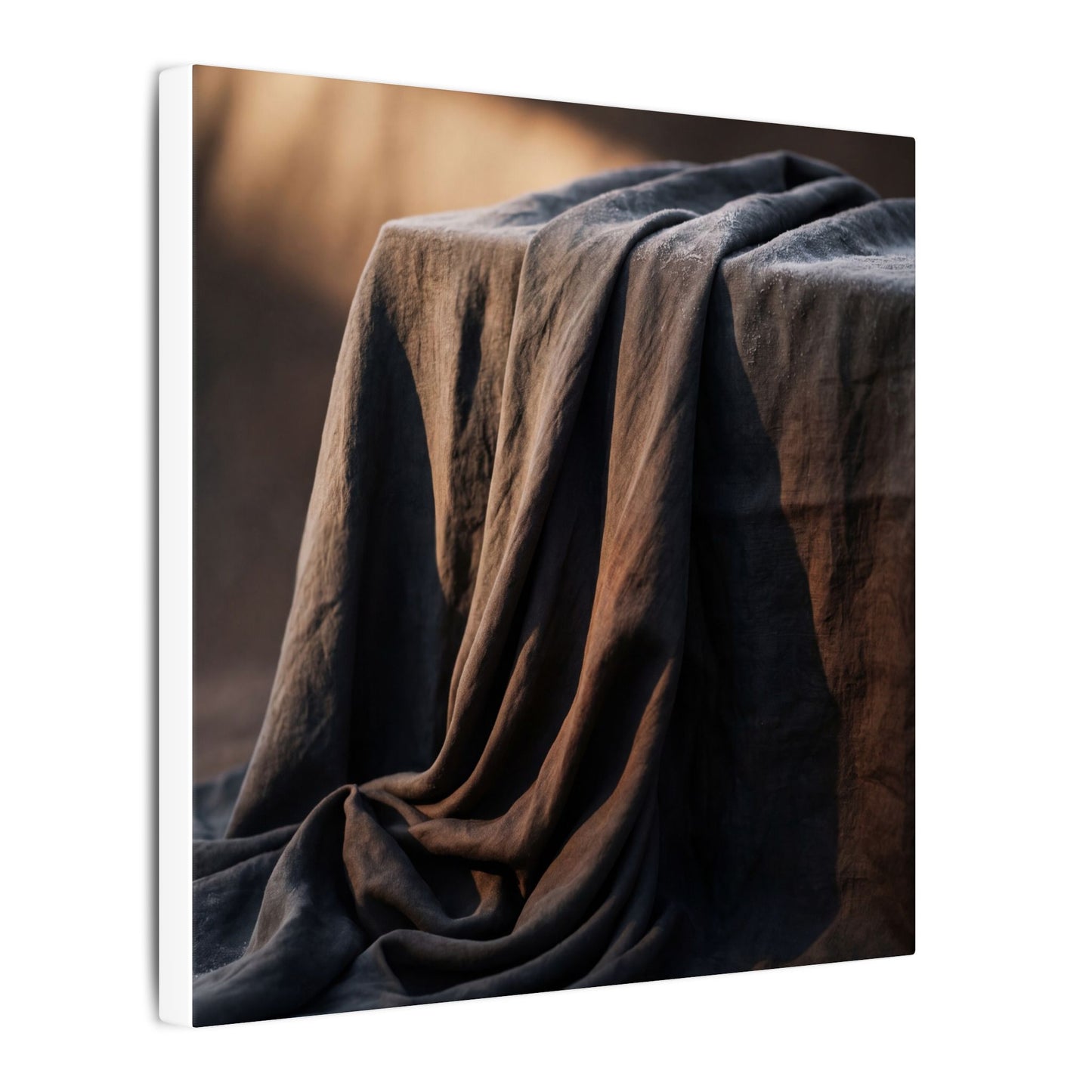 Silk Drape Canvas Art | Winter Dark Japandi Shadow Zen Art