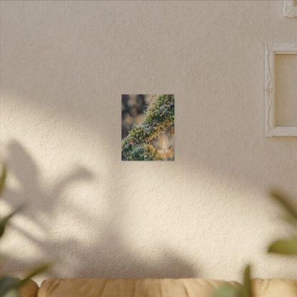 Winter Moss Close Up Watercolor Canvas Art | Neutral Decor