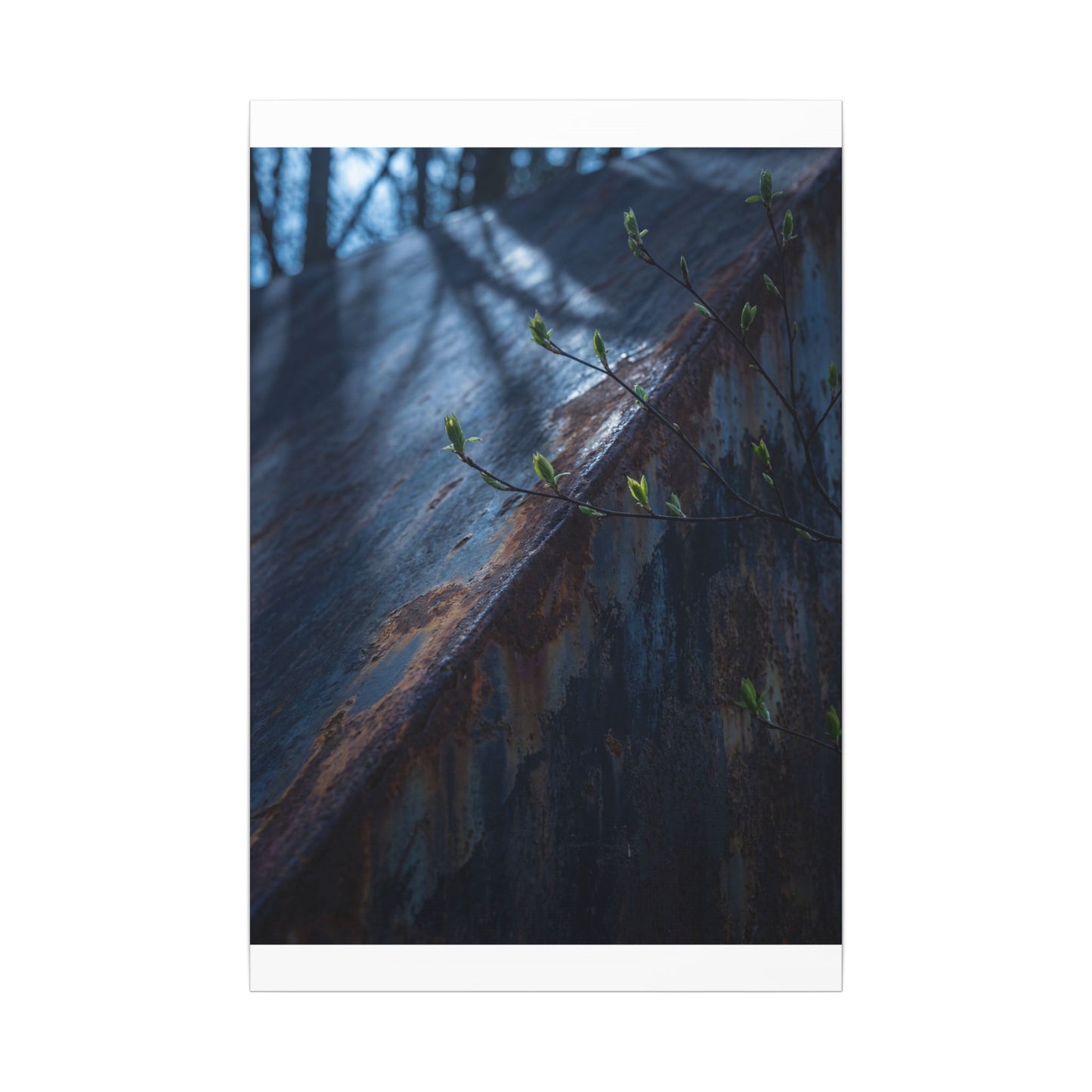 Rust Patina Canvas Art | Spring Dark Japandi Shadow Zen Art