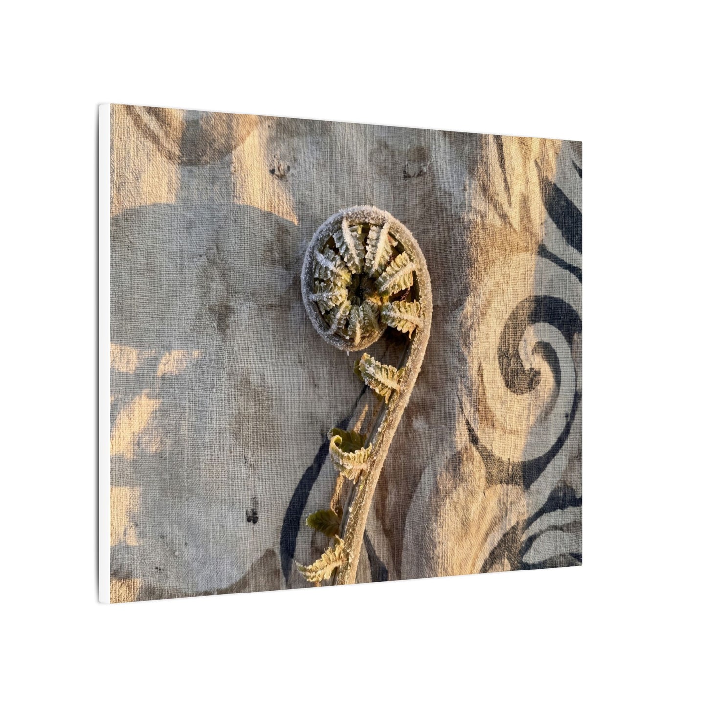 Fern Unfurling Canvas Art | Winter Japandi Japanese Pattern Art