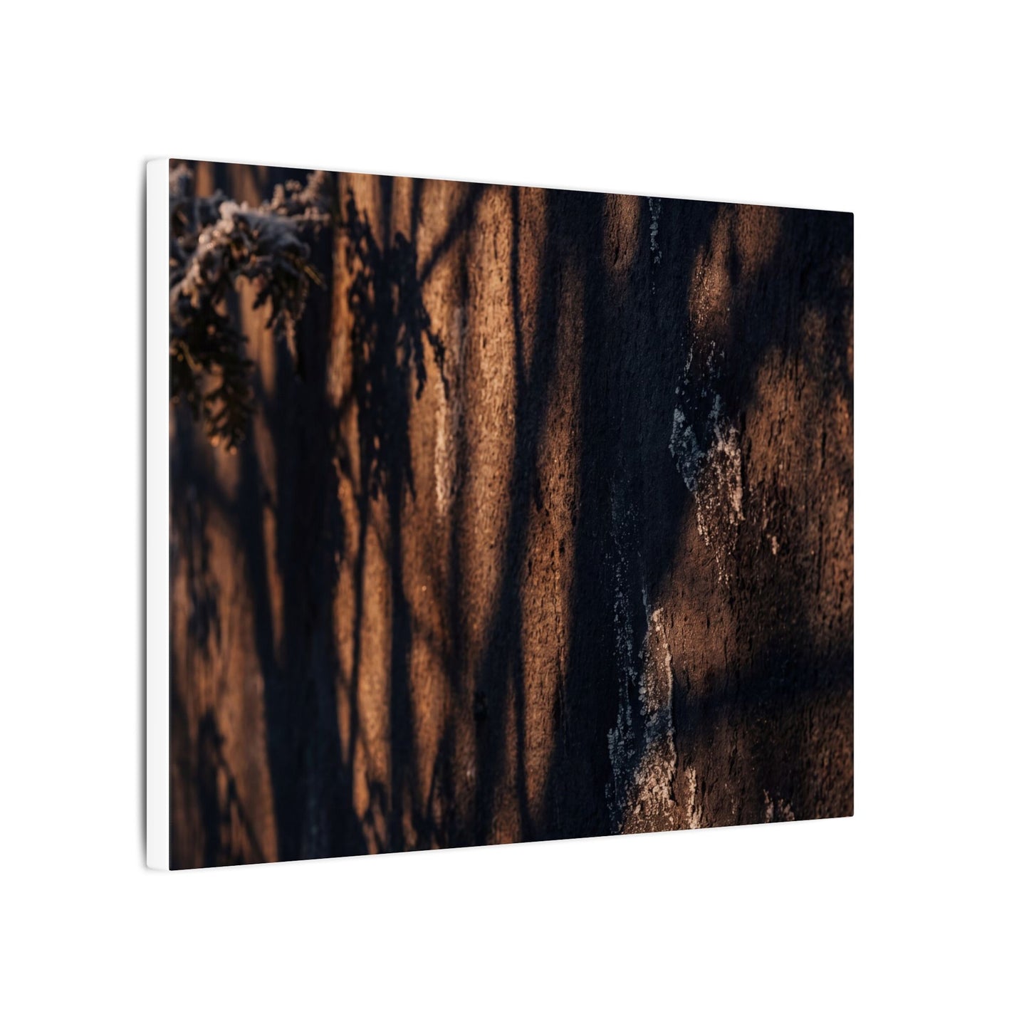 Golden Hour Shadow Play Canvas Art - Dark Japandi Fukinsei