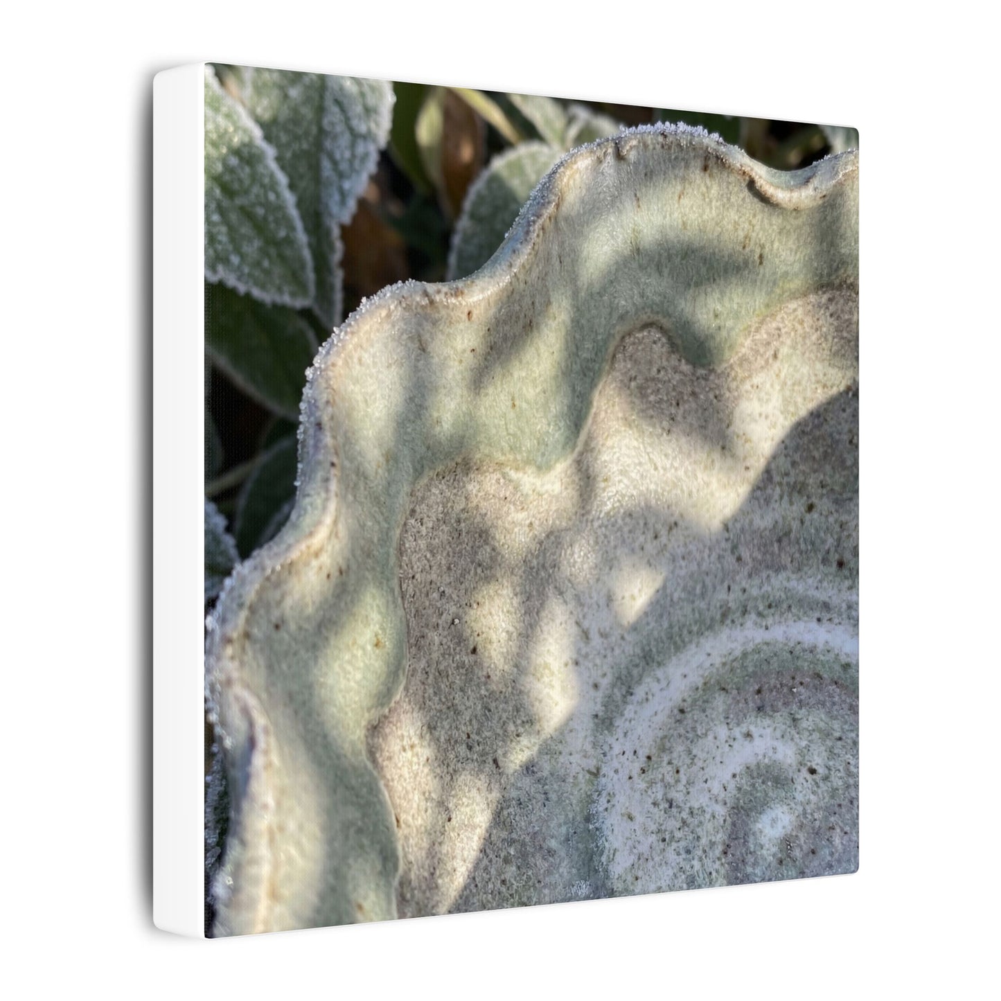 Dappled Ceramic Bowl Canvas Art - Japandi Seijaku