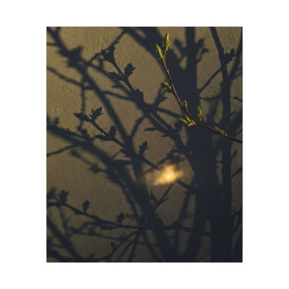 Bold Shadow Play Canvas Art - Moody Minimal Dark Japandi