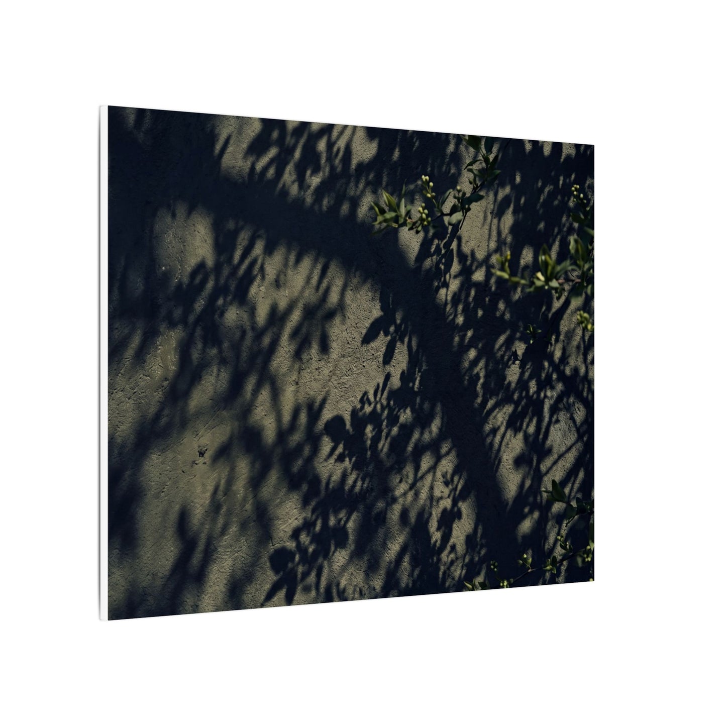 Atmospheric Shadow Play Canvas Art - Moody Minimal Dark Japandi