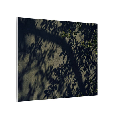 Atmospheric Shadow Play Canvas Art - Moody Minimal Dark Japandi