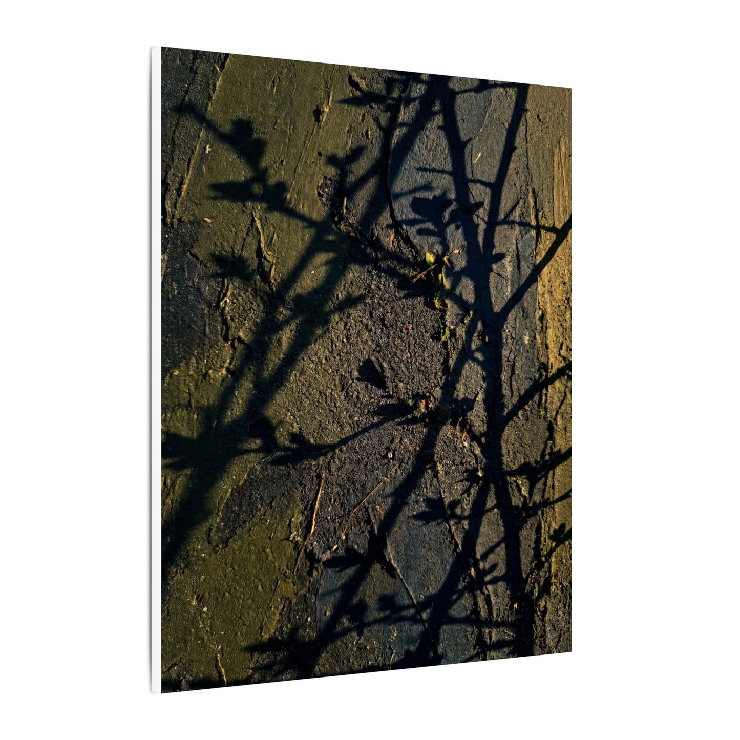 Kanso Shadow Play Canvas Art - Dark Japandi Dark Texture