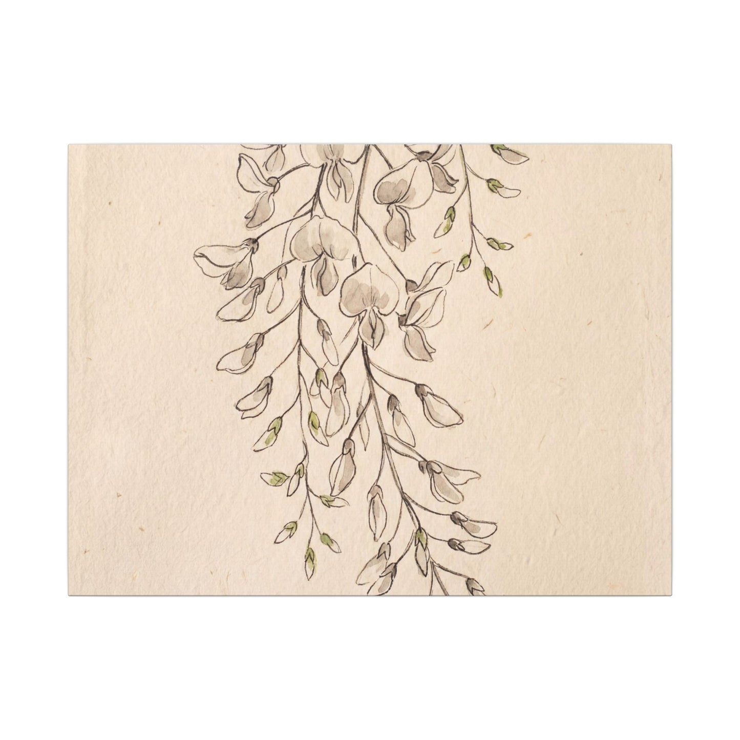 Japandi Wisteria in Golden Hour | Minimal Line Canvas Art Art Print