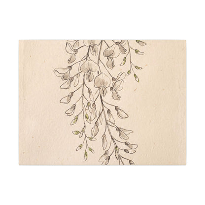Japandi Wisteria in Golden Hour | Minimal Line Canvas Art Art Print