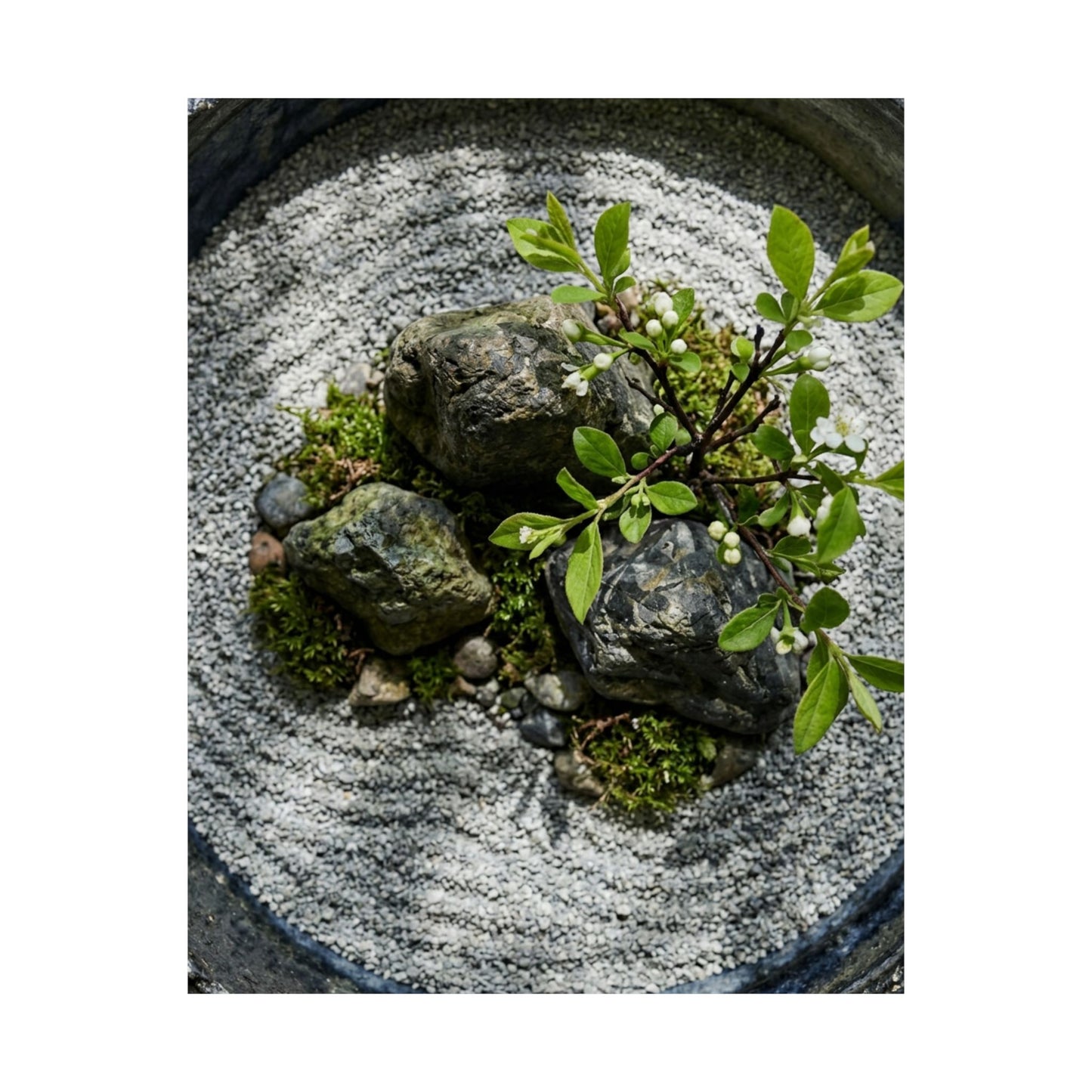 Ceramic Bowl Spring Wall Art Print | Zen Tranquil Design
