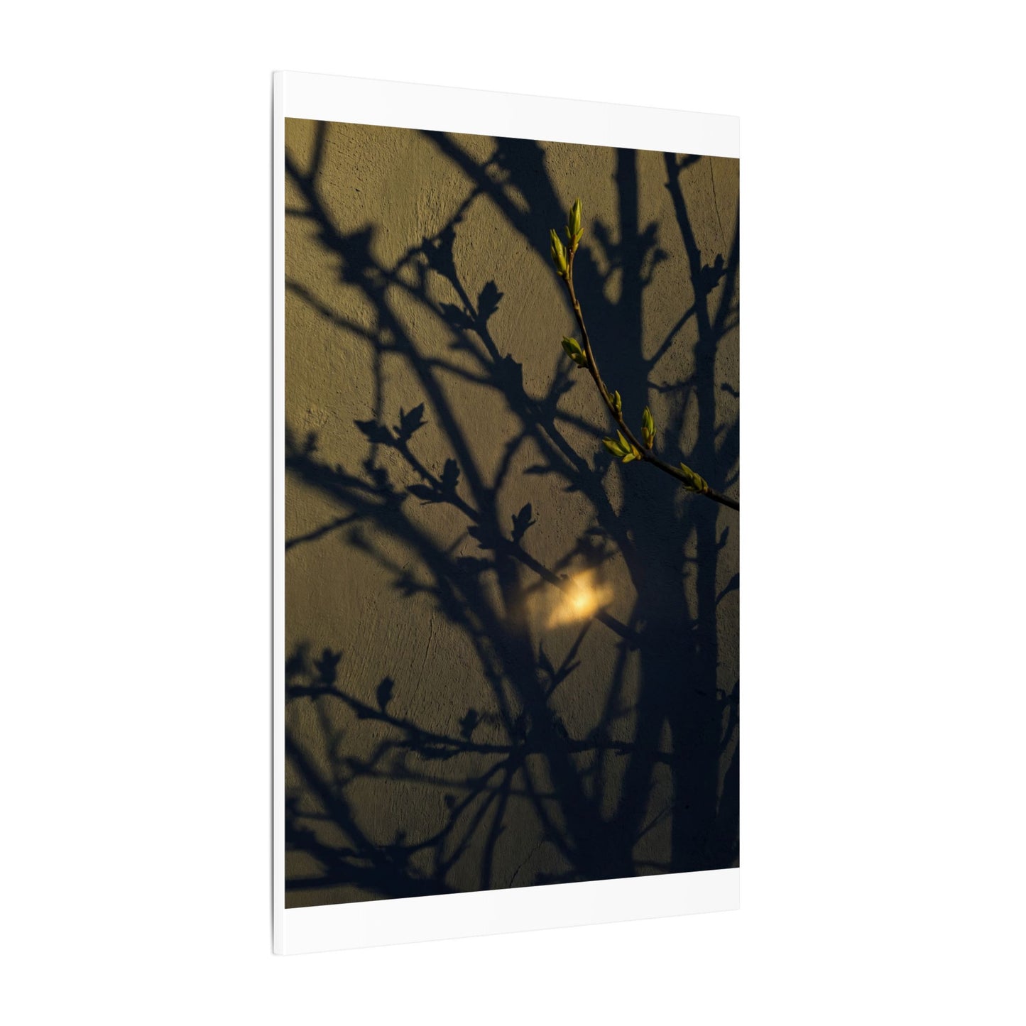 Bold Shadow Play Canvas Art - Moody Minimal Dark Japandi