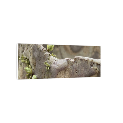 Overcast Ceramic Bowl Canvas Art - Japandi Fukinsei