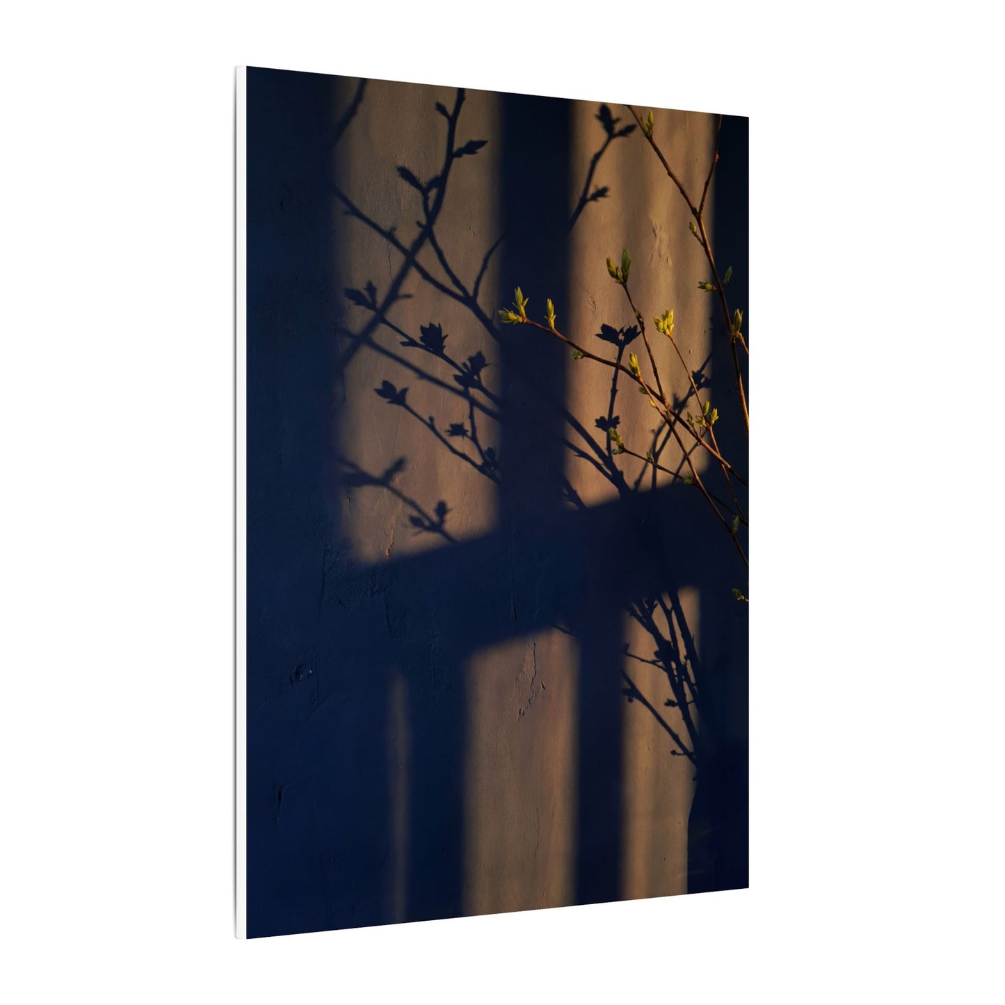 Shadow Play Canvas Art | Spring Dark Japandi Shadow Zen Art