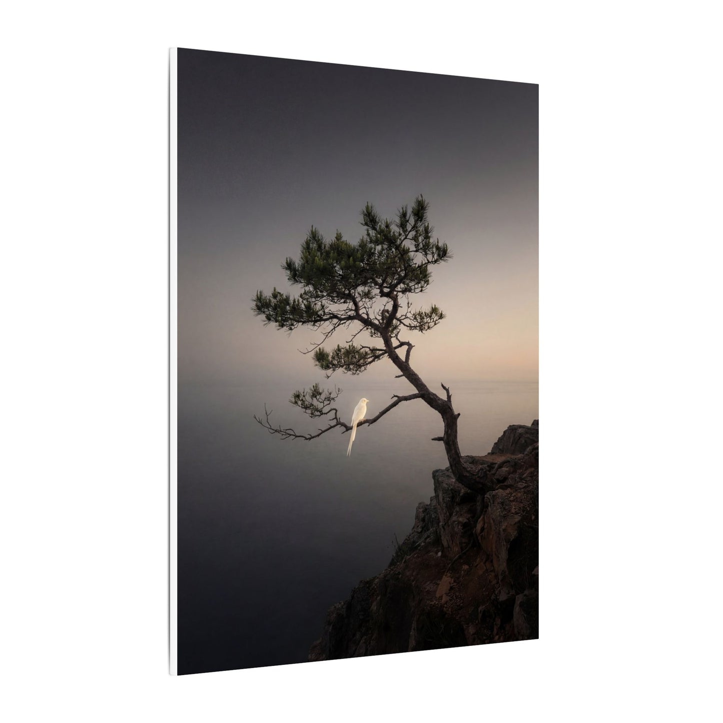 Dawn Pine Tree Canvas Art - Dark Japandi Datsuzoku