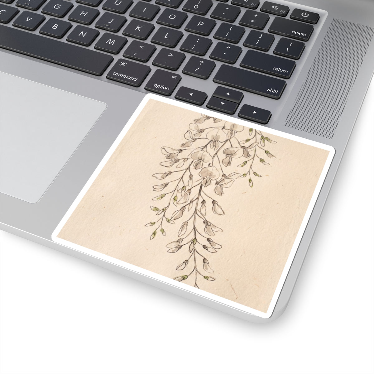 Wisteria Minimal Line Sticker | Earthy Japandi Art Art Print