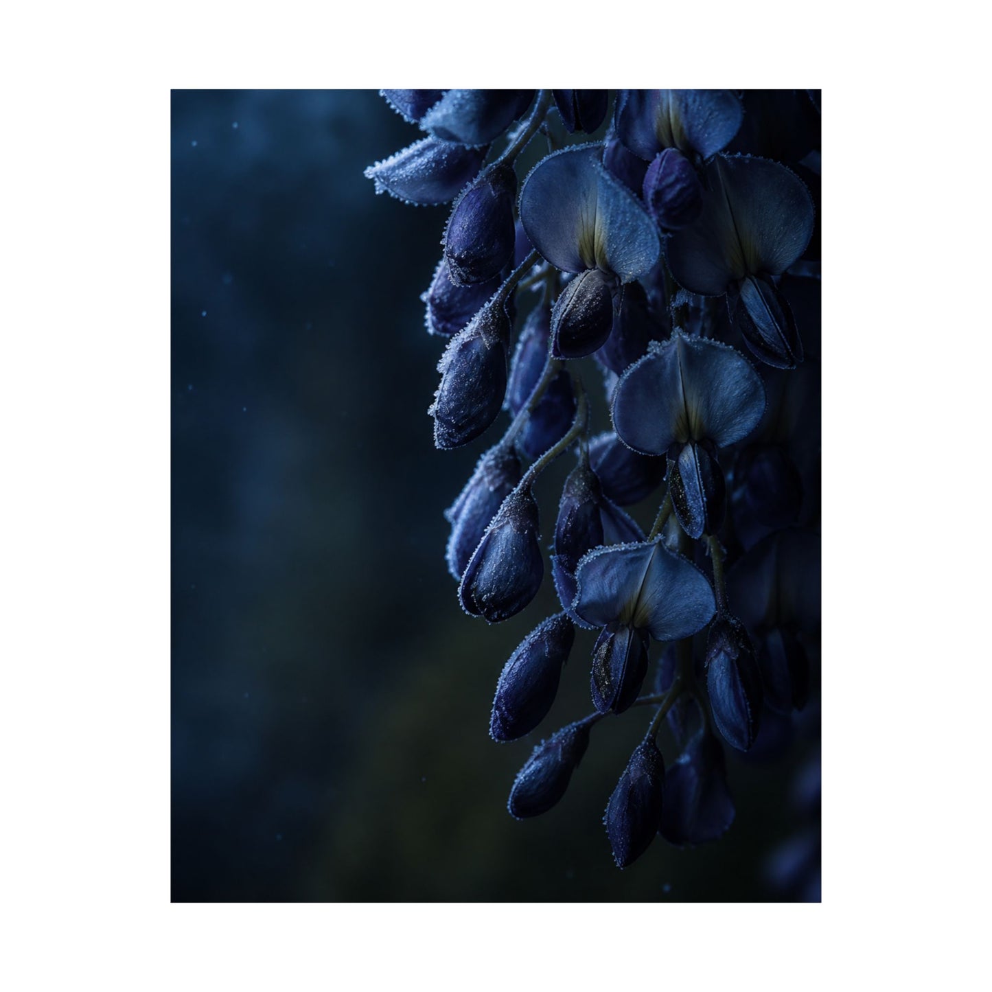 Wisteria Shadow Zen Wall Art Print | Sophisticated Dark Japandi Art