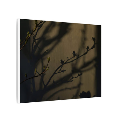 Seijaku Shadow Play Canvas Art - Dark Japandi Charcoal Ink