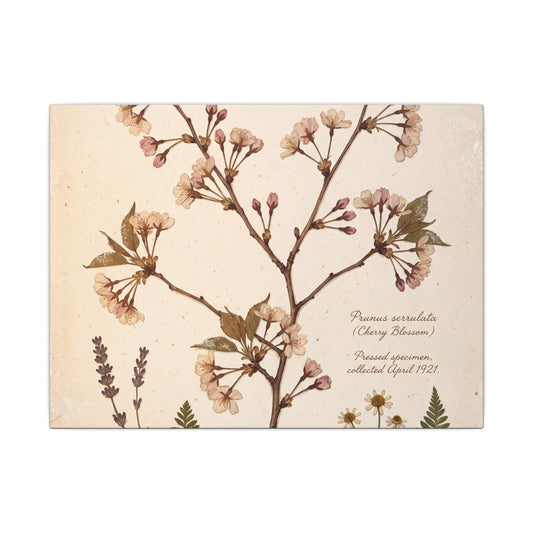 Seijaku Cherry Blossom Canvas Art - Cottagecore Herbarium