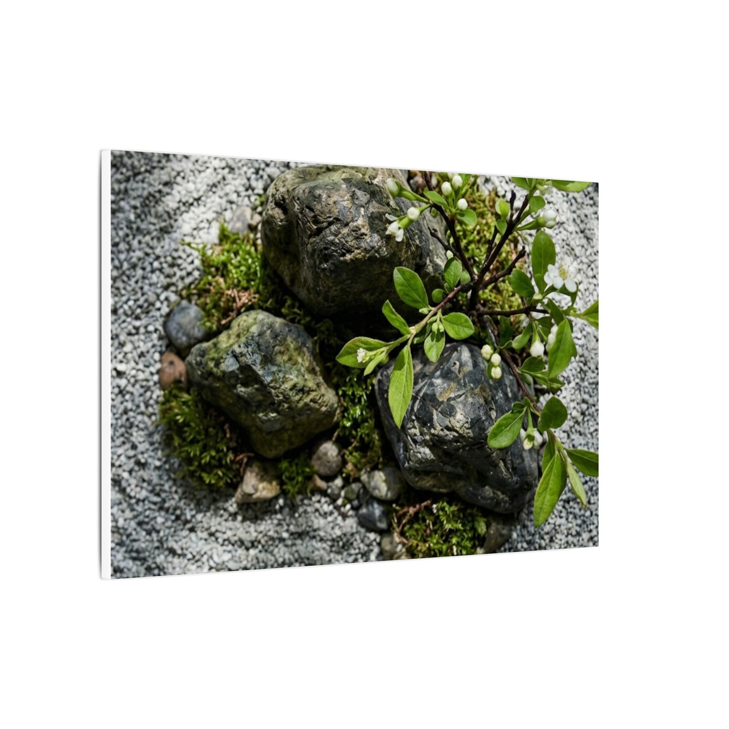 Zen Ceramic Bowl in Dappled | Karesansui Canvas Art
