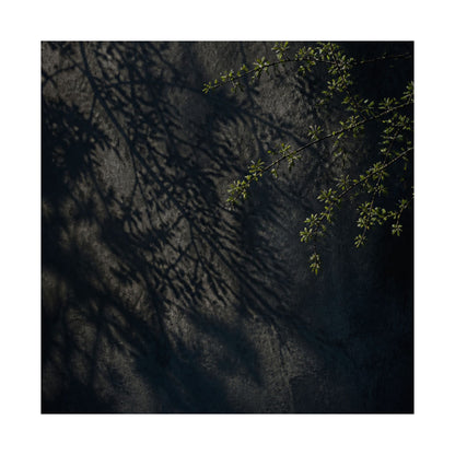 Dark Japandi Shadow Play in Overcast | Moody Minimal Wall Art Print