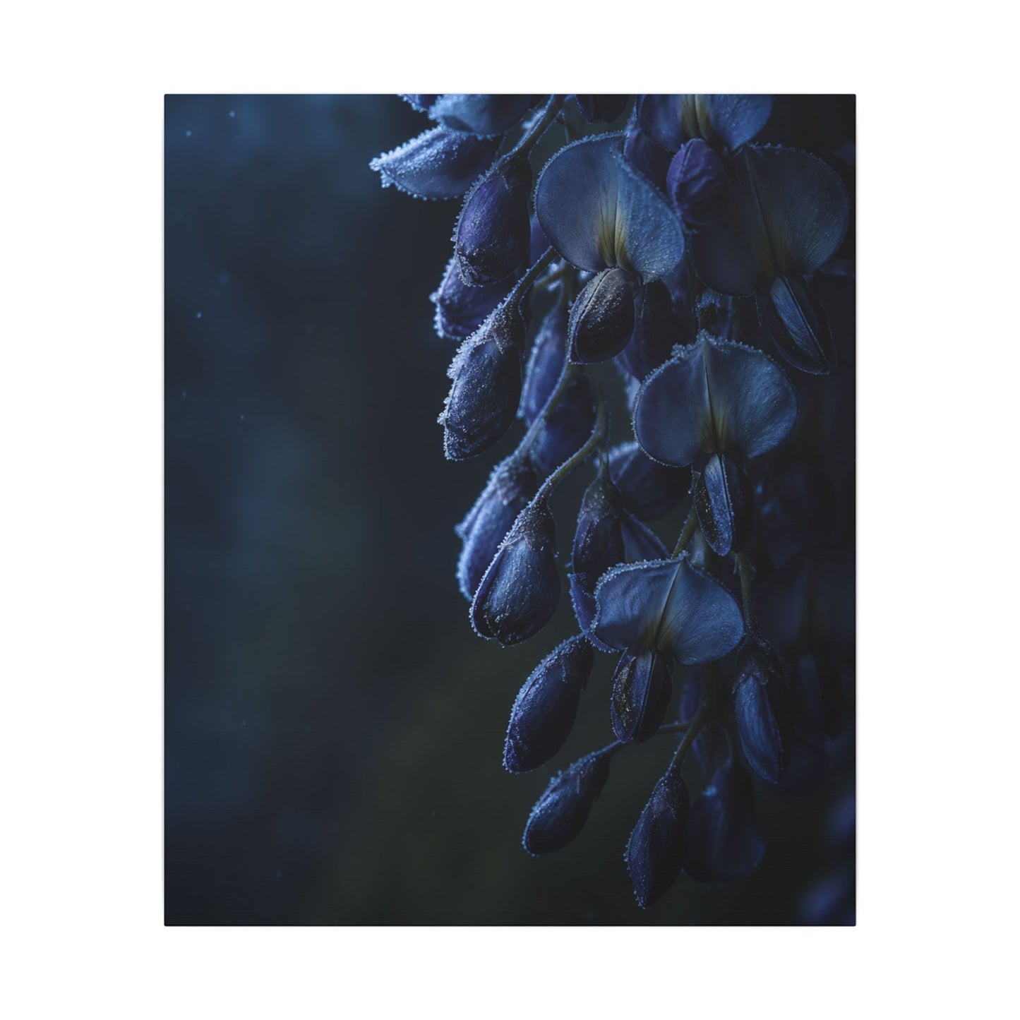 Winter Wisteria Shadow Zen Canvas Art | Atmospheric Decor