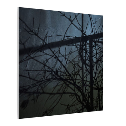 Moonlight Shadow Play Canvas Art - Dark Japandi Shibui