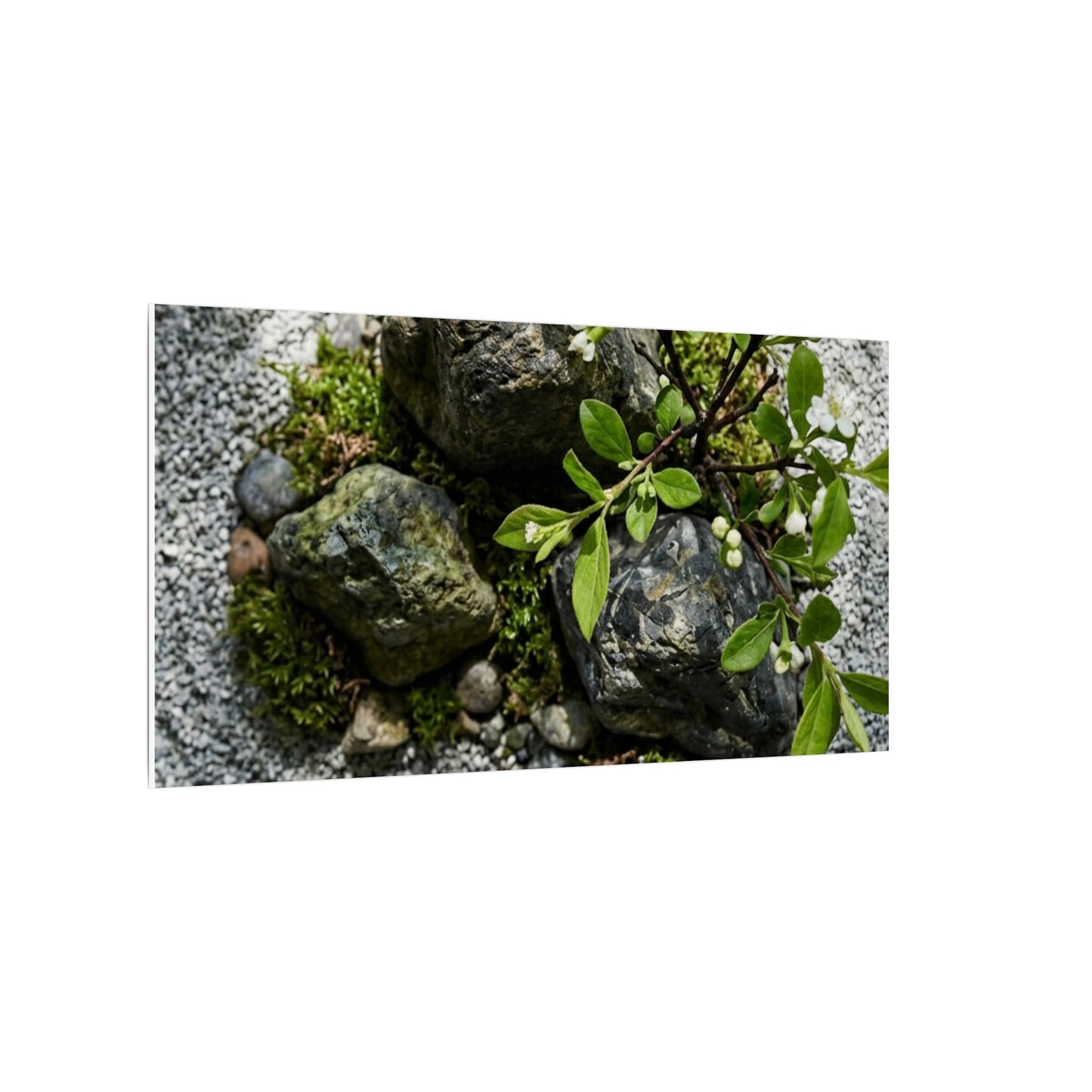 Zen Ceramic Bowl in Dappled | Karesansui Canvas Art