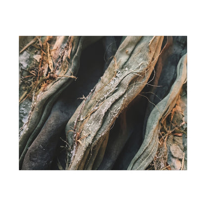 Silk Drape Winter Canvas Art | Japandi Cozy Design