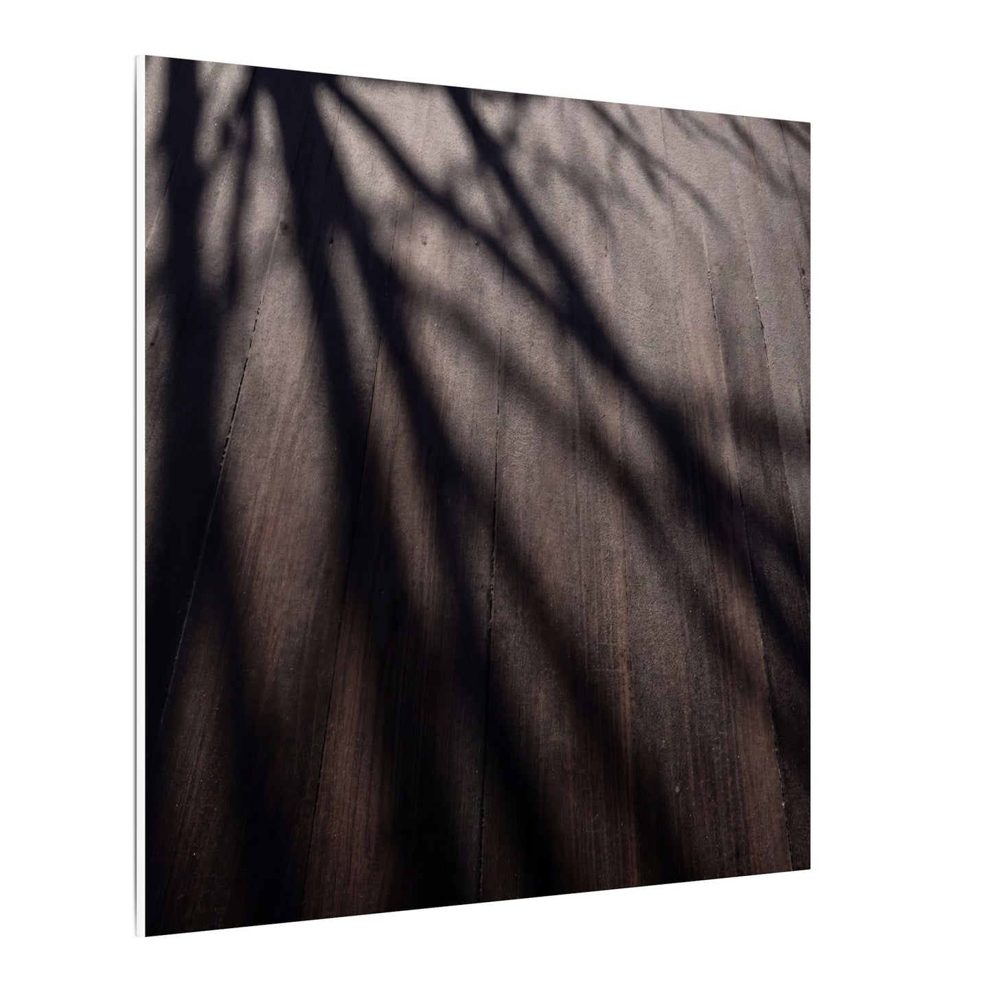 Dark Japandi Shadow Play in Dawn | Moody Minimal Canvas Art