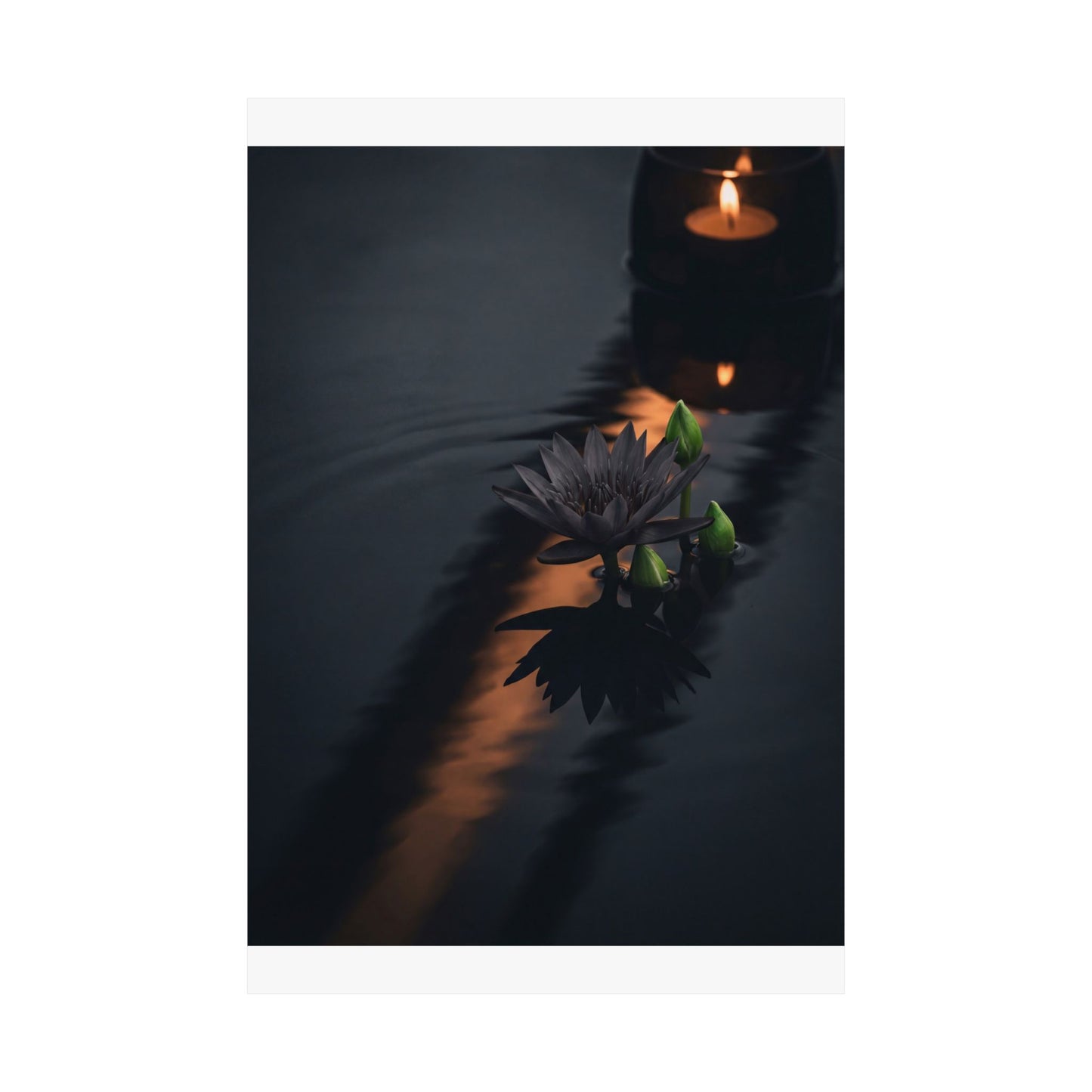 Candlelight Lotus Flower Wall Art Print - Dark Japandi Seijaku