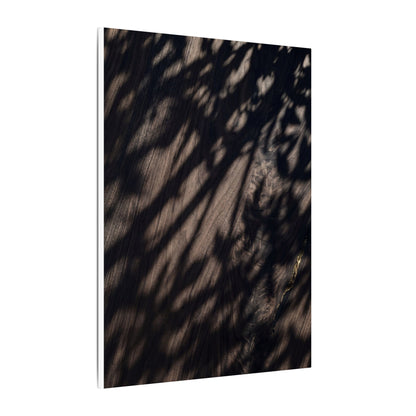 Shadow Play Summer Canvas Art | Dark Japandi Moody Design