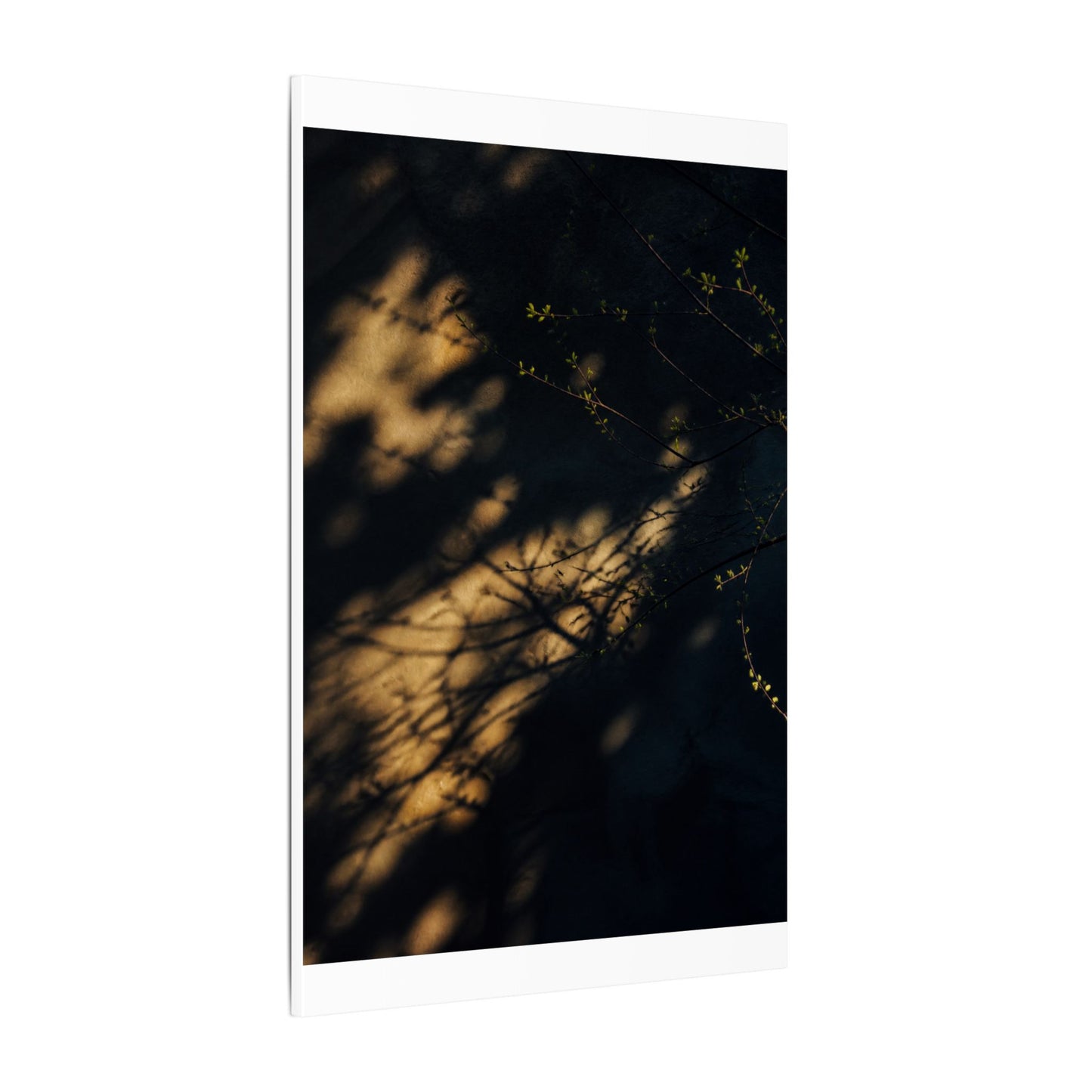 Moody Shadow Play Canvas Art - Moody Minimal Dark Japandi