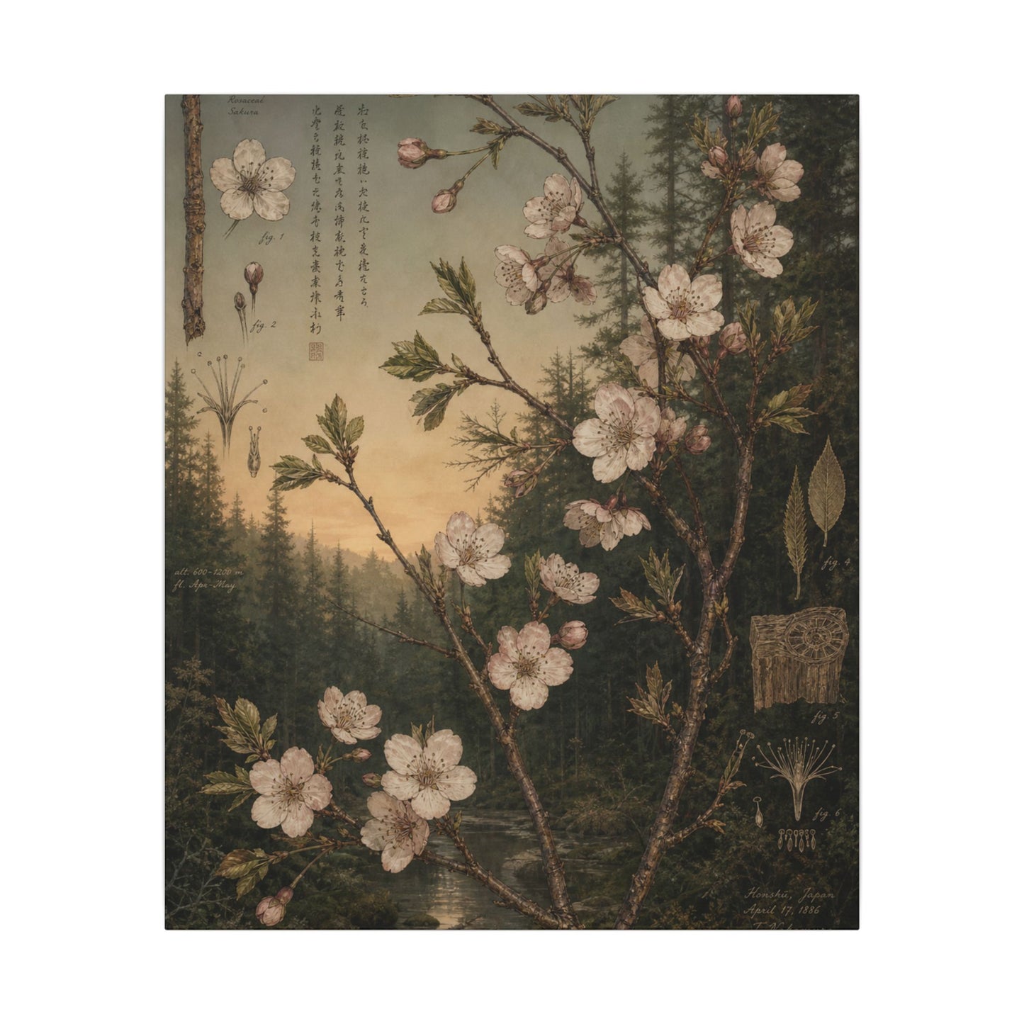 Spring Cherry Blossom Herbarium Canvas Art | Nostalgic Decor