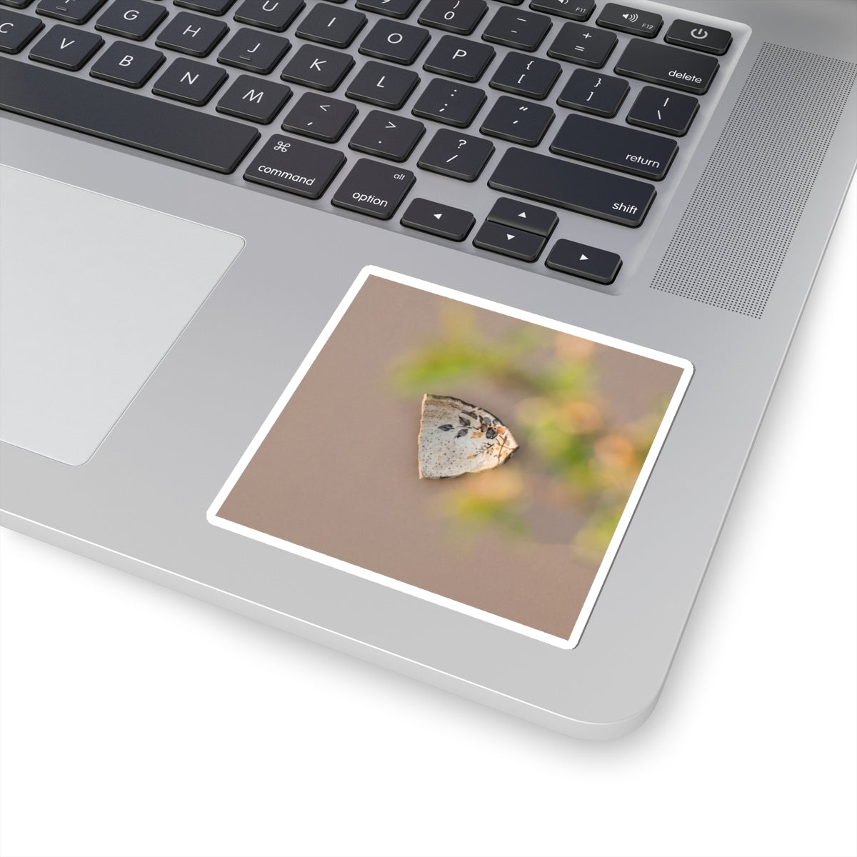 Golden Hour Ceramic Bowl Sticker - Japandi Ma