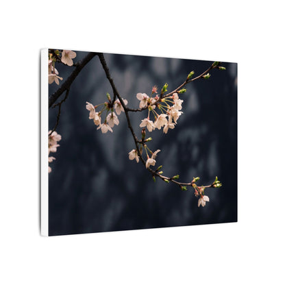 Cherry Blossom Moody Minimal Canvas Art | Bold Dark Japandi Art