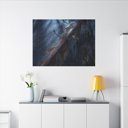 Rust Patina Canvas Art | Spring Dark Japandi Shadow Zen Art