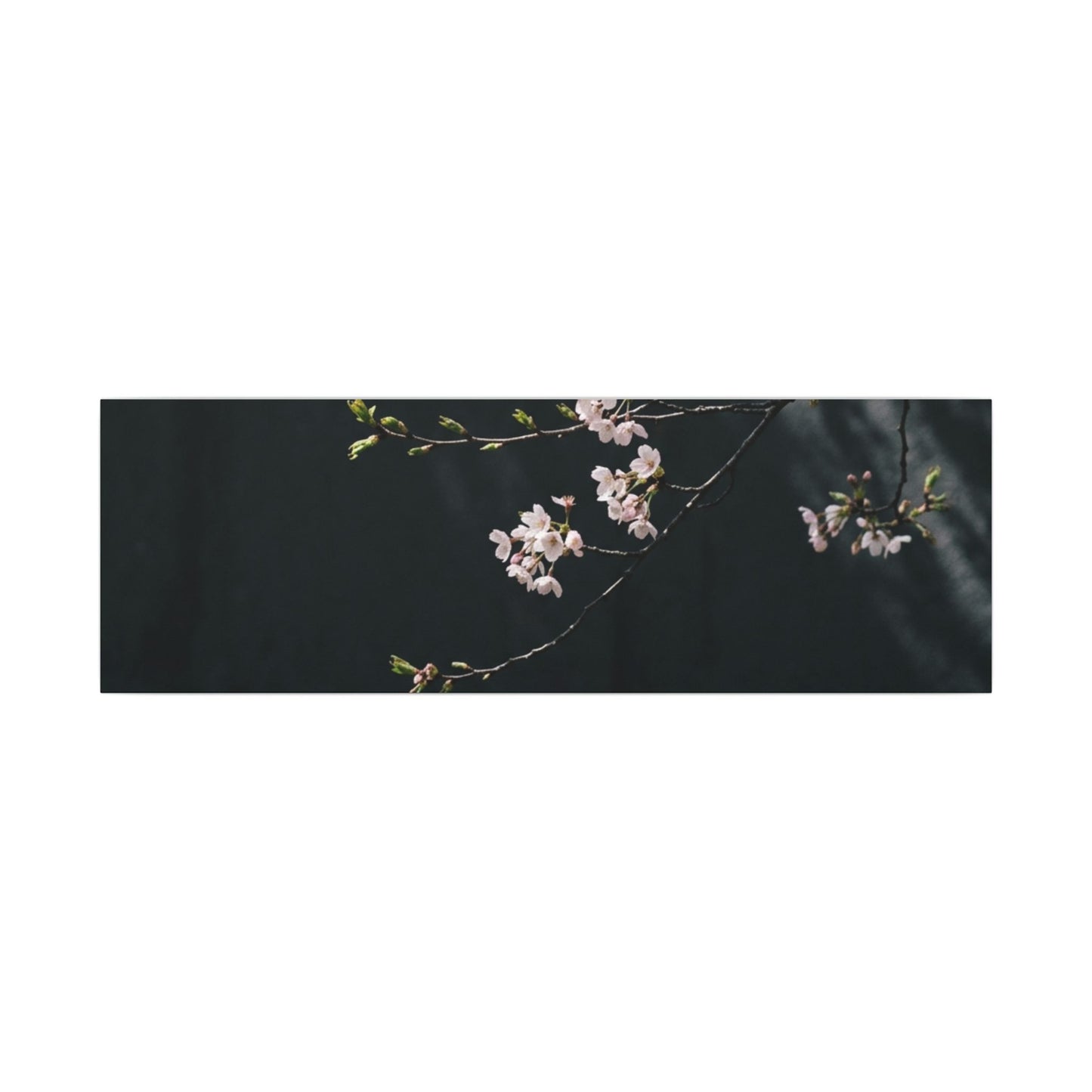 Cherry Blossom Spring Canvas Art | Dark Japandi Sophisticated Design