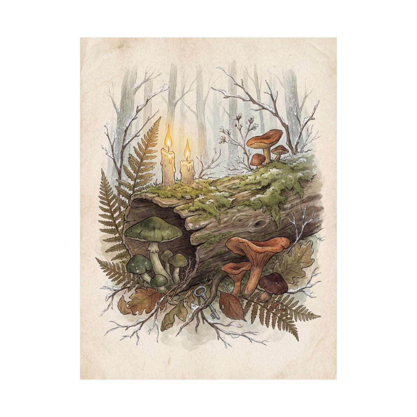 Winter Wild Mushrooms Herbarium Wall Art Print | Rustic Decor