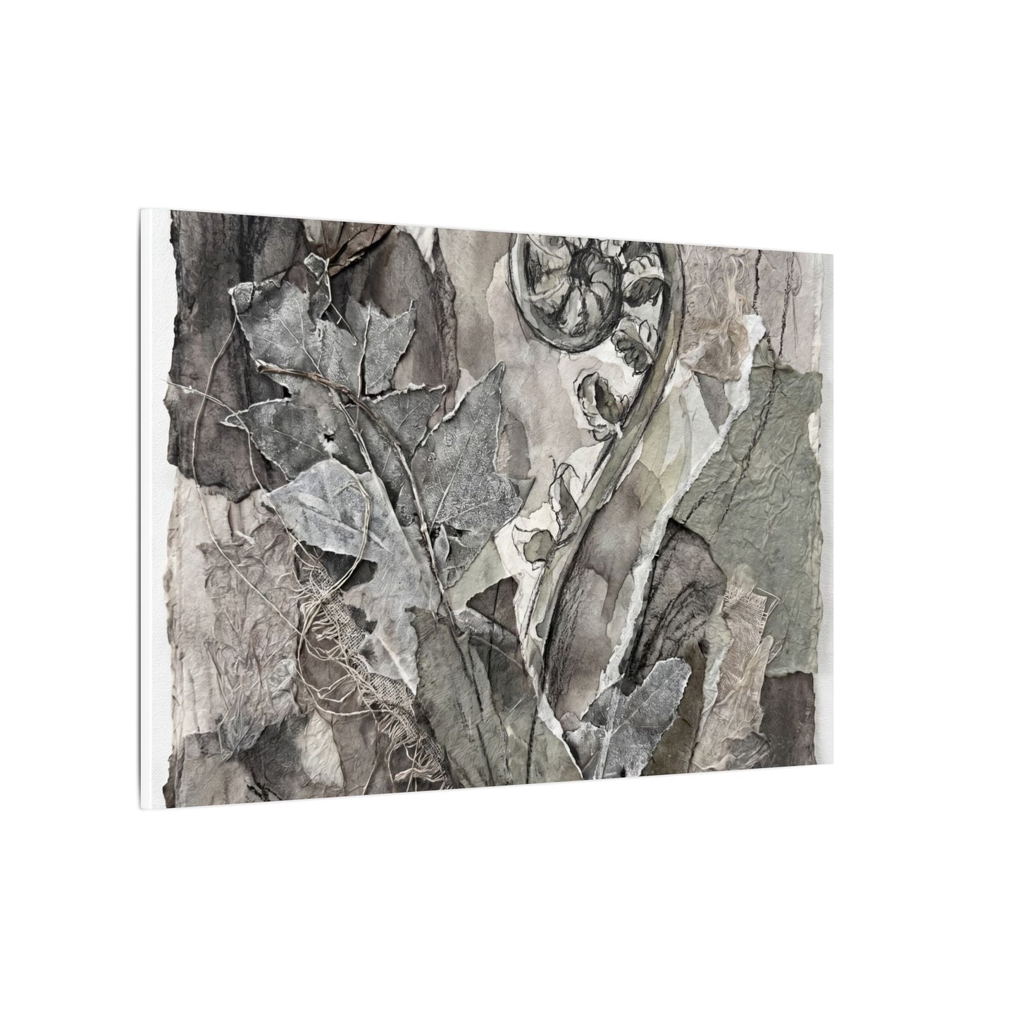 Japandi Fern Unfurling in Overcast | Texture Canvas Art
