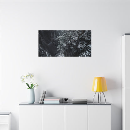 Dark Japandi Pine Tree in Dappled | Dark Texture Canvas Art