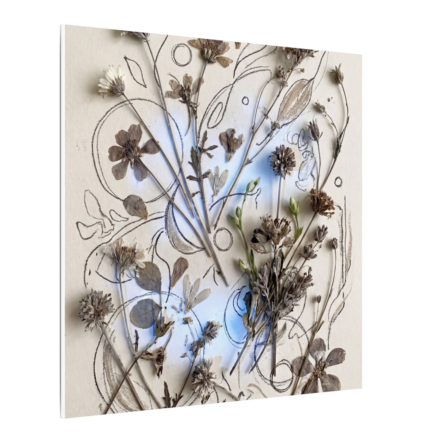 Dried Flowers Minimal Line Canvas Art | Elegant Japandi Art