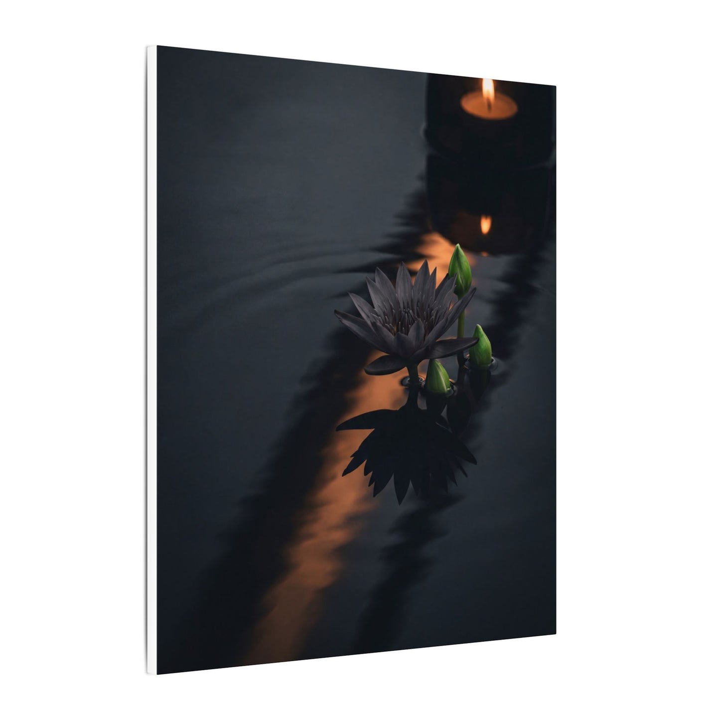 Seijaku Lotus Flower Canvas Art - Dark Japandi Shadow Zen