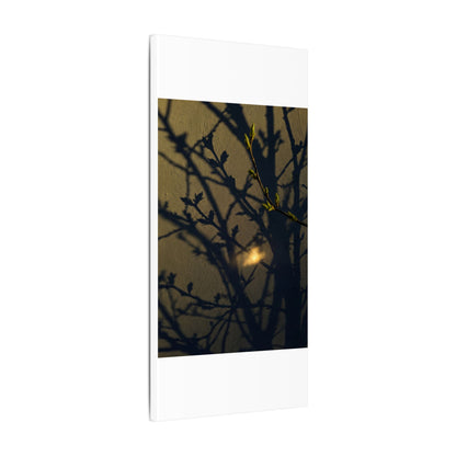 Bold Shadow Play Canvas Art - Moody Minimal Dark Japandi