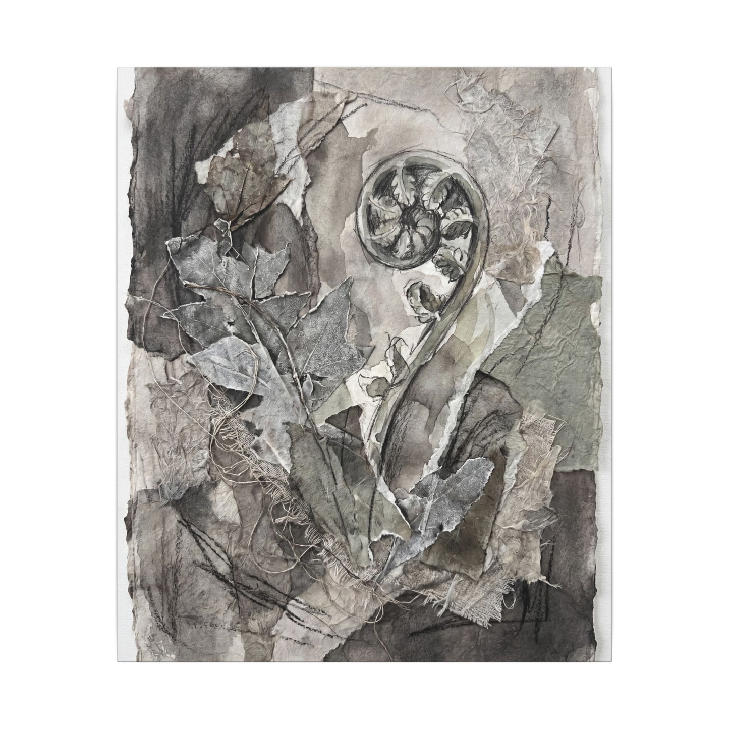 Japandi Fern Unfurling in Overcast | Texture Canvas Art