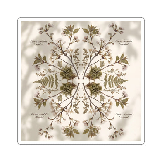 Cottagecore Cherry Blossom in Dappled | Herbarium Sticker